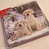 Winter Pals Labrador Puppy Pack